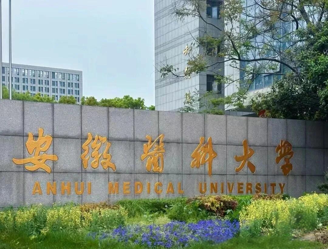 實力護航！熱烈祝賀我公司成功承接安徽醫科大學新醫科中心舞臺防火大幕項目